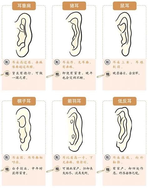 耳骨面相|面相耳朵图解【最详细版】 – 杨易德全集官网